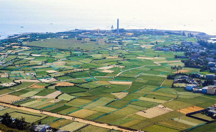 Đảo[-]Lý[-]Sơn[-]nằm[-]trong[-]vùng[-]được[-]bảo[-]tồn[-]của[-]công[-]viên[-]địa[-]chất[-]toàn[-]cầu